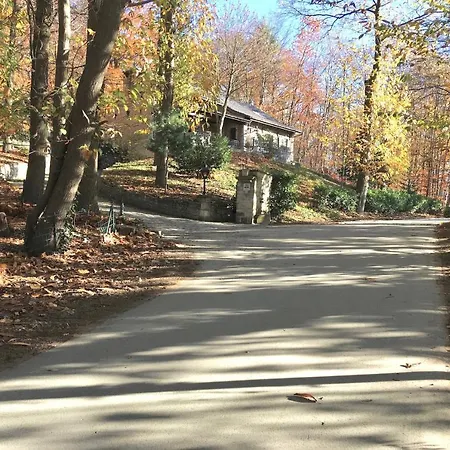 Trumpet House Leuven