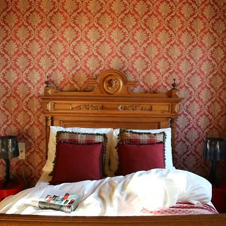 Tatil Evi Trumpet House Leuven