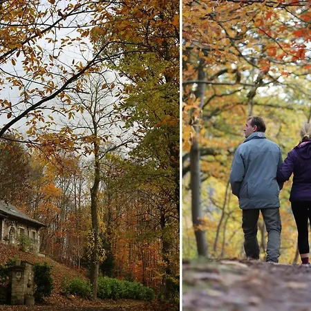 Trumpet House Tatil Evi