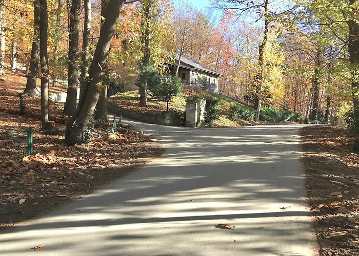 Trumpet House 鲁汶