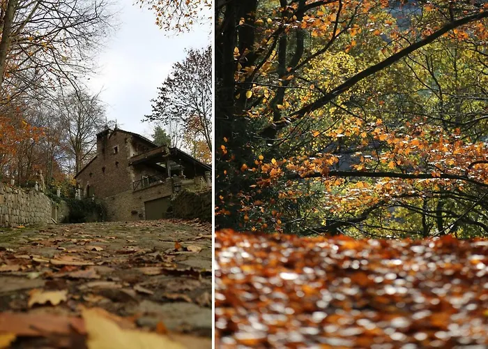 Casa vacanze Trumpet House *